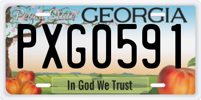 GA license plate PXG0591