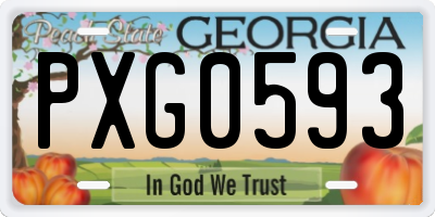 GA license plate PXG0593