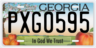 GA license plate PXG0595