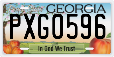GA license plate PXG0596