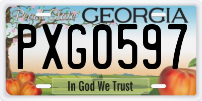GA license plate PXG0597