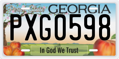 GA license plate PXG0598