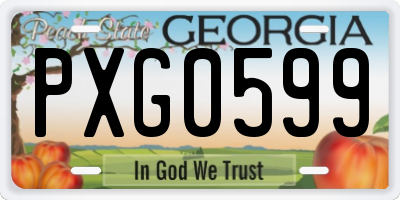 GA license plate PXG0599