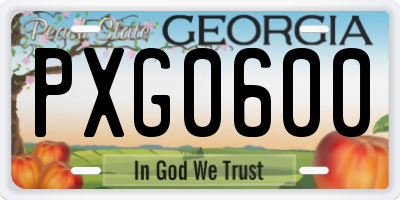 GA license plate PXG0600
