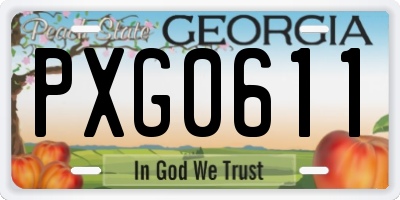GA license plate PXG0611