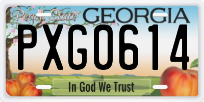 GA license plate PXG0614