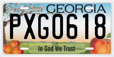 GA license plate PXG0618