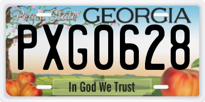 GA license plate PXG0628