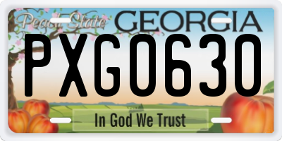 GA license plate PXG0630