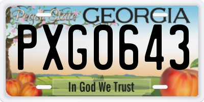 GA license plate PXG0643