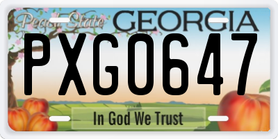 GA license plate PXG0647