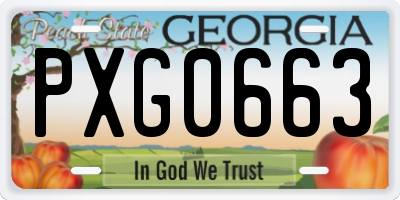 GA license plate PXG0663