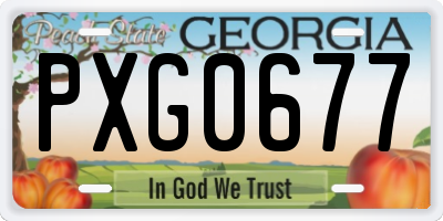GA license plate PXG0677
