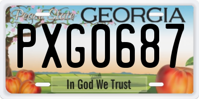 GA license plate PXG0687