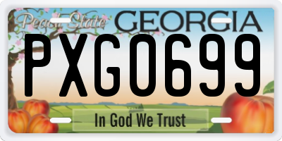 GA license plate PXG0699