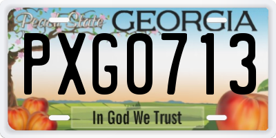 GA license plate PXG0713