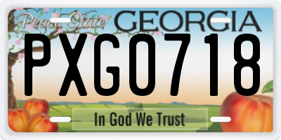 GA license plate PXG0718