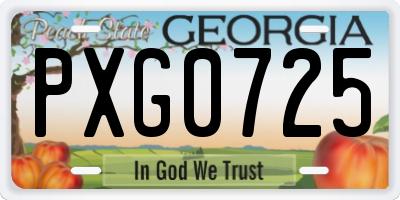 GA license plate PXG0725