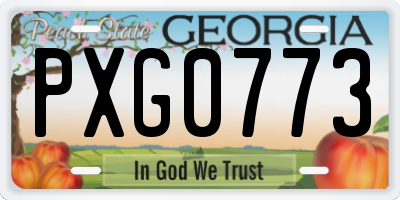 GA license plate PXG0773