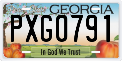 GA license plate PXG0791