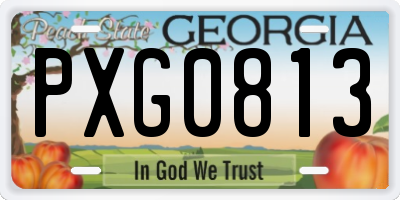 GA license plate PXG0813