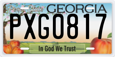 GA license plate PXG0817