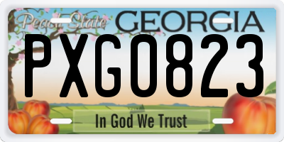 GA license plate PXG0823
