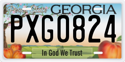 GA license plate PXG0824