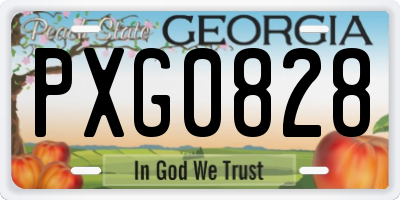 GA license plate PXG0828