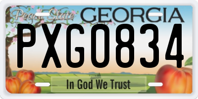 GA license plate PXG0834