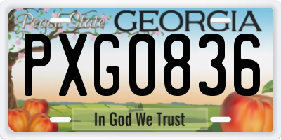 GA license plate PXG0836