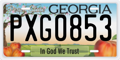 GA license plate PXG0853
