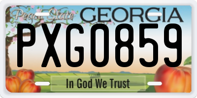 GA license plate PXG0859