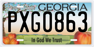 GA license plate PXG0863