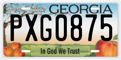 GA license plate PXG0875