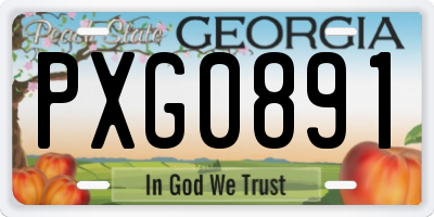 GA license plate PXG0891