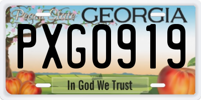 GA license plate PXG0919