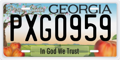 GA license plate PXG0959
