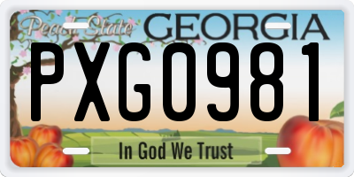 GA license plate PXG0981
