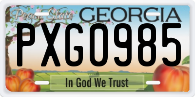 GA license plate PXG0985