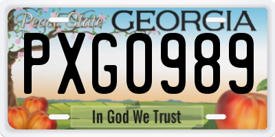 GA license plate PXG0989