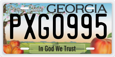 GA license plate PXG0995