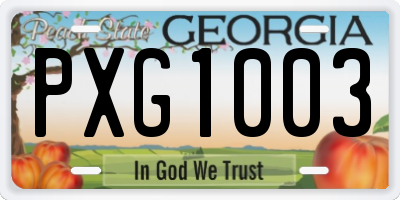 GA license plate PXG1003