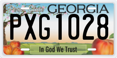 GA license plate PXG1028