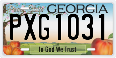 GA license plate PXG1031