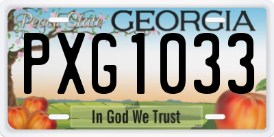 GA license plate PXG1033