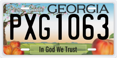 GA license plate PXG1063
