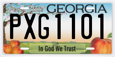 GA license plate PXG1101