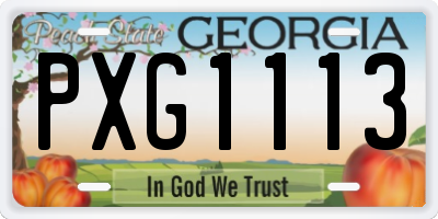 GA license plate PXG1113