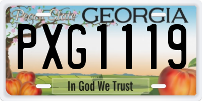 GA license plate PXG1119